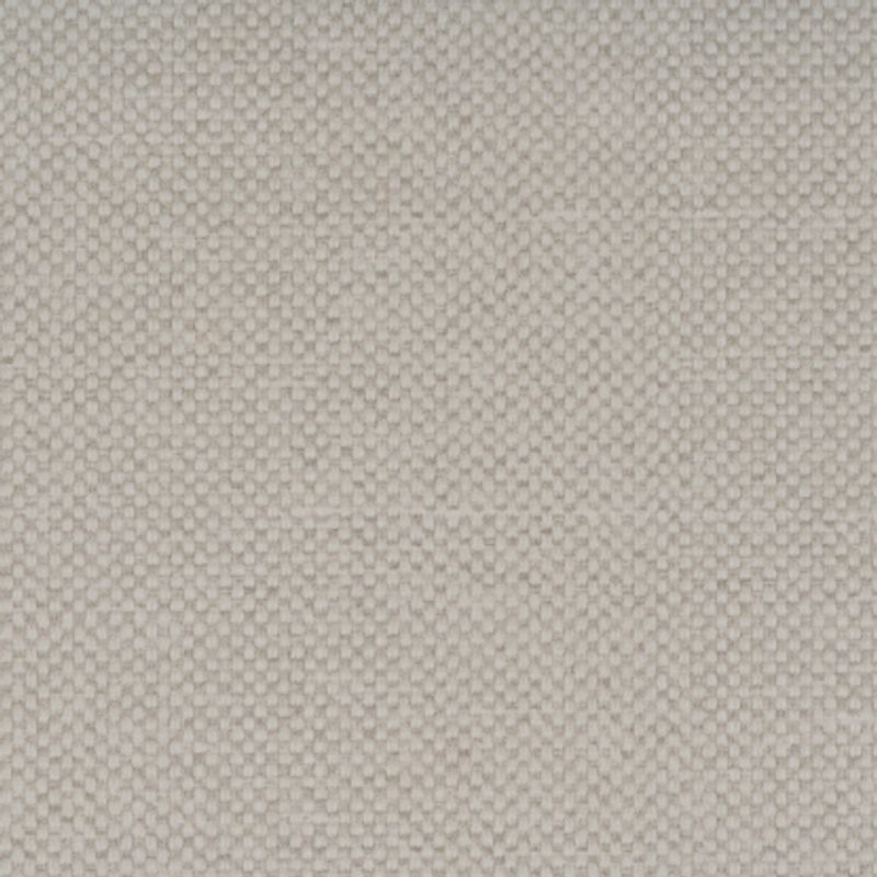 Maglia